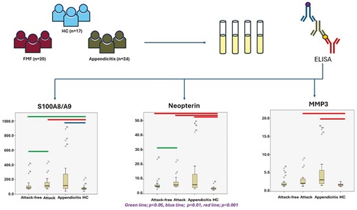 Graphical Abstract