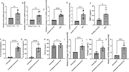 Senescence in SSc dermal fibroblasts. (A) P16INK4a expression was quantified in SSc dermal fibroblasts and compared to healthy controls (HC). Data are the mean and SD, **P = 0.0054, n = 6. (B) CDKN1A gene expression normalized to 18S. Data are the mean and SD, **P = 0.081; Student’s t test, n = 6. (C) Collagen gene expression data are normalized to 18S and shown as fold change to healthy controls. Data are the mean and SD; ****P = 0.0001, n = 6. (D) ACTA2 gene expression is normalized to 18S. Data are the mean and SD; ***P = 0.0009; Student’s t test, n = 6. (E). TIMP-1 levels were quantified in healthy control and SSc dermal fibroblasts by specific ELISA. Data are the mean and SD; ***P = 0.0.213; Student’s t test, n = 6. (F) IL-6 was measured after 9 days after irradiation of healthy dermal fibroblasts or untreated in the media by specific ELISA. Data are the mean and SD; ****P = <0.0001; Student’s t test, n = 6. (G) IL-1β was measured after 9 days after irradiation of healthy dermal fibroblasts or untreated in the media by specific ELISA. Data are the mean and SD; ****P < 0.0001; Student’s t test, n = 6. (H) TGF-β1 was measured after 9 days after irradiation of healthy dermal fibroblasts or untreated in the media by specific ELISA. Data are the mean and ns = nonsignificant, Student’s t test, n = 6. (I) Collagen1A1 expression was quantified 24 h after receiving the conditioned media from irradiated or untreated fibroblasts after 9 days post irradiation. Data are the mean and SD; ***P = 0.0004; Student’s t test, n = 6. (J) Collagen was quantified in the supernatant after 24 h post exposure to senescent cell media or untreated media after 9 days post irradiation. Data are the mean and SD; **P = 0.0035; Student’s t test, n = 6. (K) ACTA2 gene expression was quantified 24 h post exposure to senescent cell media or untreated media 9 days post irradiation. Data are the mean and SD; ***P = 0.0005; Student’s t test, n = 6.