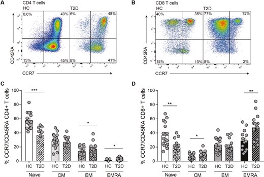 Elevated levels of T cell senescence in people living with type 2 diabetes. The accumulation of senescent T cells in diabetes was defined using the markers CCR7 and CD45RA in T cells from patients with type 2 diabetes and healthy controls aged over 55 years. Representative flow cytometry plots are shown for CD4+ (A) and CD8+ (B) T cells. Cumulative data of the phenotypic staining is shown for CD4+ (C) and CD8+ (D) CCR7/CD45RA defined T cell subsets. Data expressed as mean ± SEM of 16 healthy and 16 T2D donors. P values were calculated using a T-test.