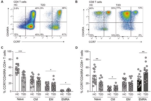 Elevated levels of T cell senescence in people with T2D. The accumulation of senescent T cells in diabetes was defined using the markers C C chemokine receptor type 7 (CCR7) and CD45RA in T cells from patients with T2D and healthy controls aged > 55 years. Representative flow cytometry plots are shown for CD4+ (a) and CD8+ (b) T cells. Cumulative data of the phenotypical staining is shown for CD4+ (c) and CD8+ (d) CCR7/CD45RA defined T cell subsets. Data expressed as mean ± standard error of the mean (s.e.m.) of 16 healthy and 16 T2D donors. P‐values were calculated using a t-test..