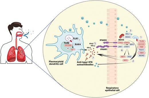 Graphical Abstract