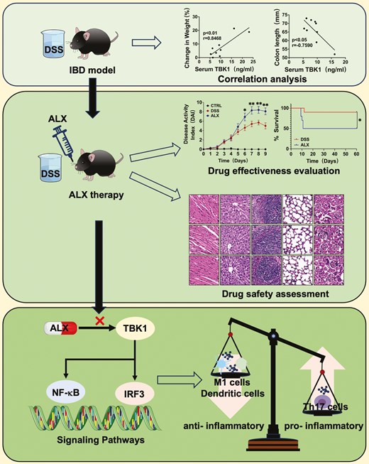 Graphical Abstract