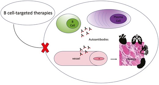 Graphical Abstract
