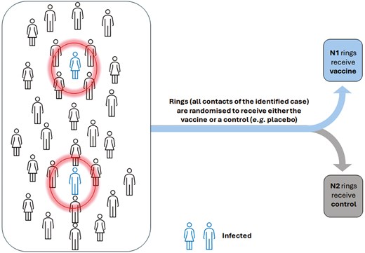 ring vaccination cluster randomized trial. Each ring, shown by circles, is formed around an index case (the infected individual) and is treated as a cluster in the trial, with each cluster randomly assigned to either the vaccine or control group
