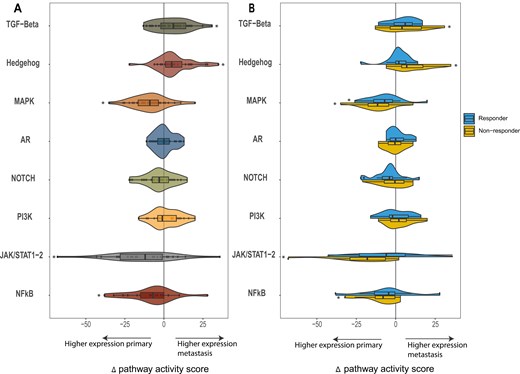 the mean change in pathway activity score (PAS) is reflected for the selected pathways (TGF-Beta, Hedgehog, MAPK, AR, NOTCH, PI3K, JAK/STAT1-2, and NFkB). The change in pathway score is shown as the delta of the pathway scores, calculated by subtracting the PAS of the primary tumor from that of the matching metastatic tumor sample. A The delta pathway activity score for the entire patient cohort and B for responders and non-responders