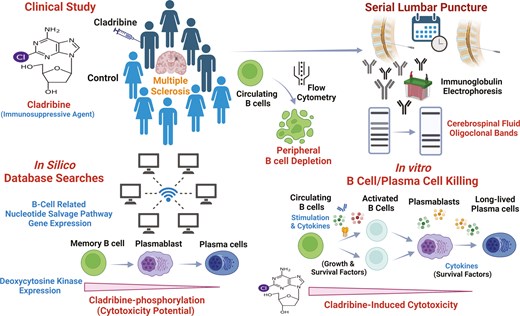 Graphical Abstract