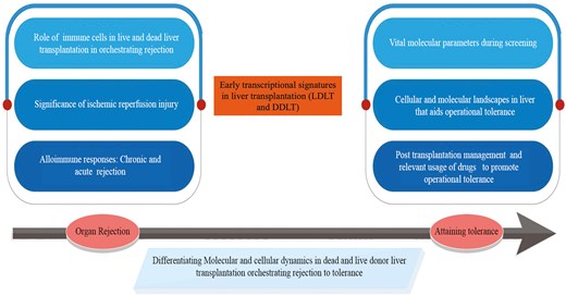 Graphical Abstract