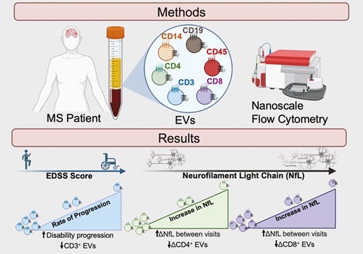 Graphical Abstract