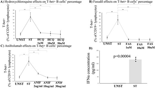(A-C) T-bet + B cells diminish, following treatment with HCQ, fasudil and/or anifrolumab. Data have emerged from three independent experiments, MEAN ± SD are presented ➔ Unst: 2.85 ± 0.9 vs St: 13.64 ± 2.8 vs HCQ1: 3.64 ± 0.47 vs HCQ10: 3.15 ± 1.34 vs HCQ50: 2.69 ± 2.15 vs FAS1: 1.65 ± 0.46 vs FAS10: 1.57 ± 0.72 vs FAS50: 1.56 ± 0.74 vs ANIF2: 5.2 ± 0.62 vs ANIF10: 2.54 ± 0.68 vs ANIF30: 2.31 ± 1. Statistical significance was evaluated via Student’s t test. *<0.05 **<0.01 Unst: Unstimulated, St: Stimulated, HCQ: hydroxychloroquine, FAS: fasudil, ANIF:anifrolumab (D) Cell culture supernatant IFNα levels are elevated in stimulated samples, according to ELISA conducted. Data have emerged from 3 independent experiments, MEAN ± SD are presented ➔ Unst: 0.6 ± 0.01 vs St:181.3 ± 15.8. Statistical significance was evaluated via Student’s t test. *<0.05 **<0.01 Unst: Unstimulated, St: Stimulated