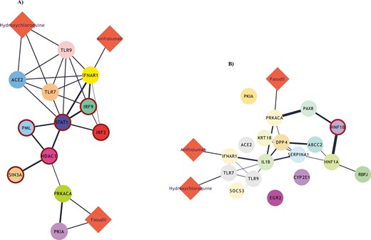 (A) Drug-gene bipartite network for cluster 3 of B cells, connecting the most active transcription factors of the cluster with the targets of HCQ, anifrolumab, and fasudill. (B) An equivalent drug-gene network for cluster 5 of B cells.