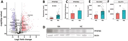 Gene and protein expression of key metabolic genes in RA and HC neutrophils