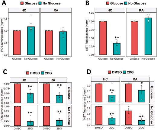 Bar graphs showing the effect of glucose or no glucose media, and hexokinase inhibition on RA and HC neutrophils