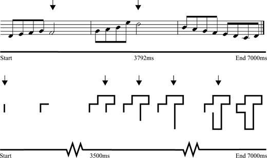 Time-course of stimulus presentation. During bimodal conditions melodies and shapes were presented simultaneously, starting and ending at the same time. The novel melodies consisted of half notes (long) and eighth notes (short). During the monitoring task, mouse button presses were required in response to long notes (indicated with arrows). The abstract shape comprised horizontal and vertical line segments which unfolded over time, one line segment every 500 ms. During the monitoring task, mouse button presses were required in response to vertical line segments (indicated with arrows).