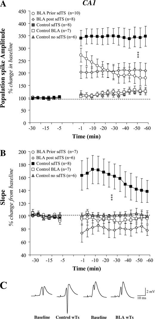 Effect of BLA activation on CA1 LTP induced by sdTS: mean (± SEM) percentage of baseline. BLA activation, 30 s before or after sdTS, impaired LTP of PS amplitude (A) and the slope of the EPSP component (B). No significant changes were observed in the baseline synaptic transmission. Representative analog traces recorded during baseline and following sdTS from an individual of the Control and BLA prior groups (C). Asterisks (***) indicate significant differences (P < 0.001) between control and other groups using post hoc Fisher tests.