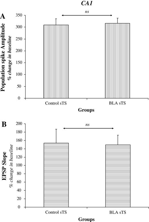 Effects of BLA activation on CA1 LTP induced by sgTS (period from 51 to 60 min following theta stimulation). Strong TS induction protocol overcame the effect of BLA modulation on CA1 LTP. There were no significant differences in the magnitude of the PS (A) and EPSP (B) between the Control and BLA prior groups (ns = non-significant).