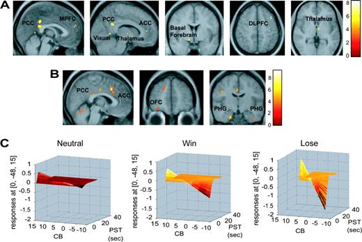 Visual spatial expectancy. (A) Images from the group random effects analysis of the regression of cue benefit score across the whole brain in all three conditions (WIN, LOSE and NEUTRAL). Peaks labeled are reported in Table 2. The images are thresholded at P < 0.001 uncorrected. Top sagittal sections showing activity in the anterior and posterior cingulate cortex (ACC and PCC), medial prefrontal cortex (MPFC), visual cortex (Vis) and thalamus (Thal); coronal section below displays basal forebrain (BF) activity and axial sections show dorsolateral prefrontal cortex activity (DLPFC); and thalamic peak. Color bars represent t-values. (B) Images from the group random effects analysis showing regions with a greater relationship to the cue benefit score in the WIN and LOSE conditions compared to the neutral condition. The images are thresholded at P < 0.005. From left to right: saggital section showing enhanced activation in the cingulate cortex, coronal section showing orbitofrontal cortex (OFC) activity and coronal section displaying bilateral parahippocampal gyrus (PHG) peaks. The color bar represents t-values. (C) Graphs of the cue benefit score (CB) (z-axis; scale ranging from −10 to 10), plotted against fMRI signal in the same region of the posterior cingulate cortex (y axis; scale ranging from 1 to −2) as a function of peristimulus time (PST) (x-axis; scale ranging from 0 to 40 s) in the three conditions (WIN, LOSE and NEUTRAL) in a representative subject. The color-coding is added only to facilitate viewing depth.