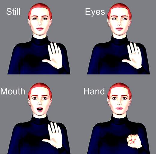 Experimental conditions. There were three experimental conditions: Eyes, Mouth and Hand. The animated character was always present. Trials were separated by a 17 s inter-trial interval, during which the figure was present on the screen (Still) but not moving.
