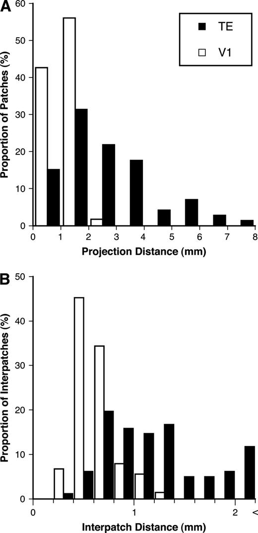 Frequency histograms of the center-to-center distances between individual patches and the injection site (A; projection distance) and between neighboring patches (B; interpatch distance) in both TE and V1.