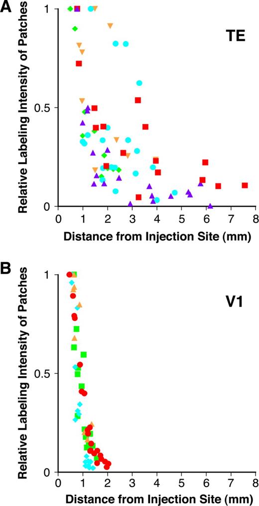 Plots of the relative patch labeling density as a function of projection distance in TE (A) and V1 (B). A relative labeling density of 1 indicates the optical density of the most intensely labeled patches for each injection. A labeling optical density of 0 is equivalent to the background optical density of the section. Different symbols represent data from different injections.