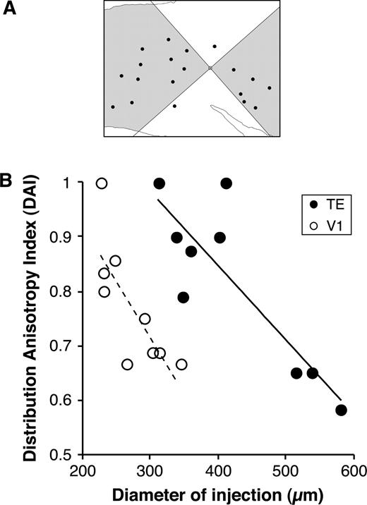 Anisotropy of patch distribution in TE and V1. (A) The distribution anisotropy index (DAI) of 0.9 was calculated as the proportion of total patches within two diagonal quadrants along the preferred axis (shaded area). (B) The relationship between the DAI and injection size (diameter). The solid and dashed lines in the graph show the linear regression lines with statistical correlation (P < 0.05).