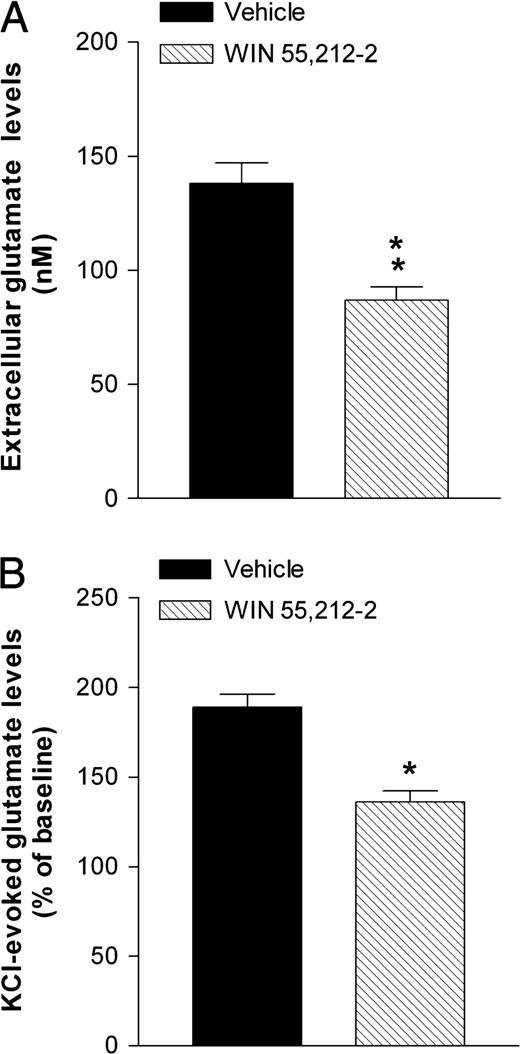 Effects of prenatal exposure to WIN 55,212-2 on basal (A) and K+-evoked (B) extracellular glutamate levels in cortical cell cultures obtained from 1-day-old pups. The WIN group represents the cortical cells obtained from neonates born from mothers treated daily with WIN 55,212-2 at a dose of 0.5 mg/kg s.c., from GD 5 to GD 20. WIN was suspended in 0.3% Tween 80–saline. The vehicle group represents the cortical cells obtained from neonates born from mothers treated with the 0.3% Tween 80–saline solution during gestation. Each value represents the mean ± SEM. *P < 0.05, **P < 0.01 significantly different from the respective vehicle group (Student's t-test).