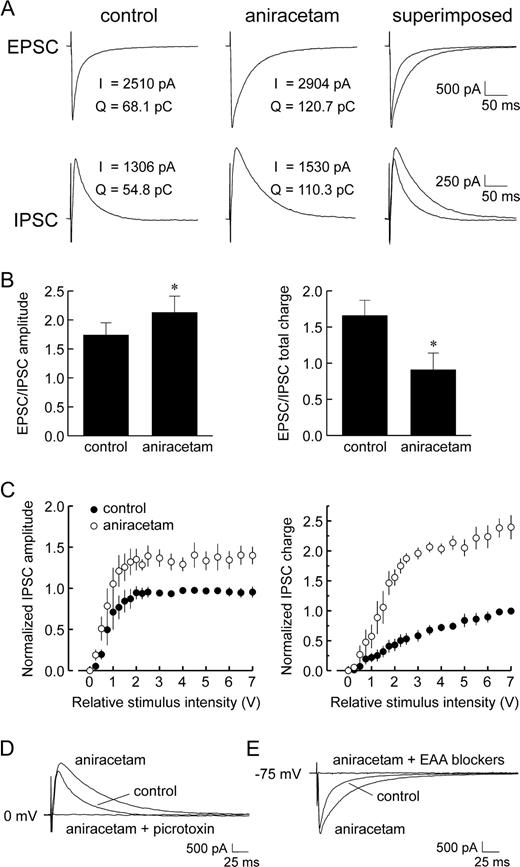 Effect of aniracetam on the recruitment of IPSCs in layer V pyramidal cells. (A) Bath application of aniracetam (2.5 mM) increased the magnitude and time course of evoked EPSCs (top traces), as expected. Aniracetam also increased the magnitude and time course of maximal amplitude IPSCs (bottom traces), leading to an augmentation of the total charge carried. Shown are responses to 10 V stimuli. (B) The enhancement of postsynaptic currents resulted in an increase in the EPSC/IPSC ratio of peak amplitudes (left panel), but a decrease in the ratio of total charge transfer (right panel). (C) Input–output relationships for IPSC peak amplitude (left panel) and total charge (right panel) were plotted for fast inhibitory events evoked with graded stimulation in control media (filled circles) and following addition of aniracetam (open circles). Over the entire range of stimuli applied, aniracetam increased the peak amplitude and total charge flux of fast IPSCs. Due to cell-to-cell variability in IPSCs, values for amplitude and total charge were normalized to the maximum control values for each cell (Ling and Benardo, 1995). Data points represent the means ± SE of normalized IPSC measurements (n = 5). (D) Addition of picrotoxin (50 μM) to the perfusate completely blocked aniracetam-enhanced IPSCs evoked at 0 mV, confirming that aniracetam did not lead to the activation of non-GABAA receptor-mediated events. (E) In separate experiments, addition of the EAA receptor blockers, CNQX (5 μM) and CPP (10 μM), to the perfusate abolished aniracetam-enhanced EPSCs evoked at −75 mV (i.e. approximate chloride reversal), indicating that there was no alteration in the fast IPSC reversal potential.