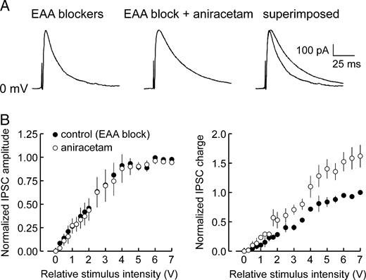 Effect of aniracetam on monosynaptic IPSCs (mono-IPSCs). (A) Aniracetam did not affect the peak amplitude of mono-IPSCs recorded during blockade of EAA receptors, but did prolong mono-IPSC decay time, resulting in an increase in total charge transfer (example shown, 10 V stimulus). (B) Input–output relationships of IPSCs recorded in control saline (filled circles) and saline containing aniracetam (open circles) revealed that at all stimulus intensities applied, aniracetam had no effect on mono-IPSC peak amplitude (left panel), but did enhance the total charge transfer (right panel). Data points represent mean normalized values ± SE (n = 4; see Fig. 1C).