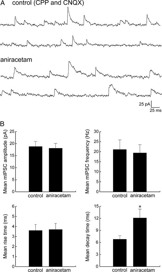 Effect of aniracetam on miniature IPSCs (mIPSCs). (A) Spontaneously occurring mIPSCs were recorded in the presence of TTX (1–10 μM) at the EPSC reversal potential (∼0 mV), before and after bath application of aniracetam (2.5 mM). (B) Aniracetam had no effect on the mean peak amplitude (top left panel), frequency (top right panel), or 10–90% rise time (bottom left panel) of mIPSCs, but did cause a prolongation of the mean decay time (bottom right panel).