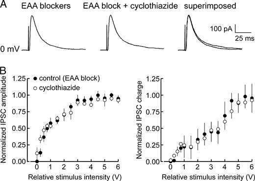 Effect of cyclothiazide on evoked monosynaptic IPSCs. (A) MonoIPSCs recruited during perfusion with EAA blockers were unaffected by the addition of cyclothiazide to the bathing medium. (B) Input–output plots of IPSC peak amplitude (left panel) and total charge (right panel) indicated that cyclothiazide had no effect on mono-IPSCs over the entire range of stimuli applied. Data points represent mean normalized values ± SE (n = 4).