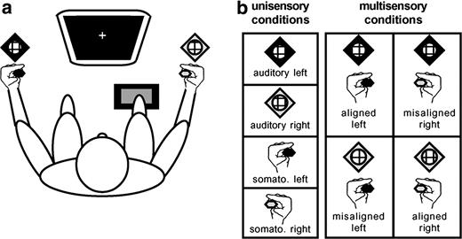 Experimental paradigm. (a) Subjects sat comfortably in a darkened room, centrally fixating a computer monitor and responding via a foot pedal. Vibrotactile stimulators were held between the thumb and index finger of each hand, as subjects rested their arms on those of the chair. Speakers were placed next to each hand. Left-sided stimuli are coded by black symbols, and right-sided by white symbols. (b) Stimulus conditions. There were a total of eight stimulus conditions: four unisensory and four multisensory. Multisensory conditions counterbalanced spatially aligned and misaligned combinations.