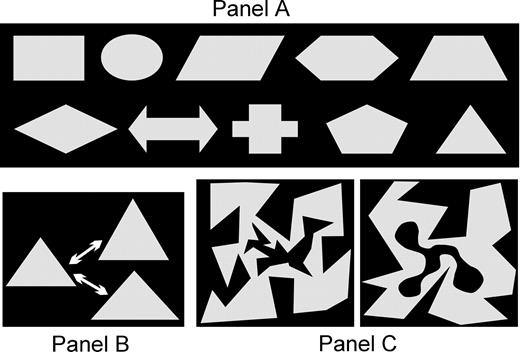 Stimulus material employed in the experiment. (A) All shapes that could be displayed for encoding. (B) The variation in size between prime and probe: either the width or the height were increased or decreased by 25%. (C) Two examples for the stimuli used in the interference task. Participants were instructed to press a key if the inner black shape was round and not edged (go/no-go paradigm).