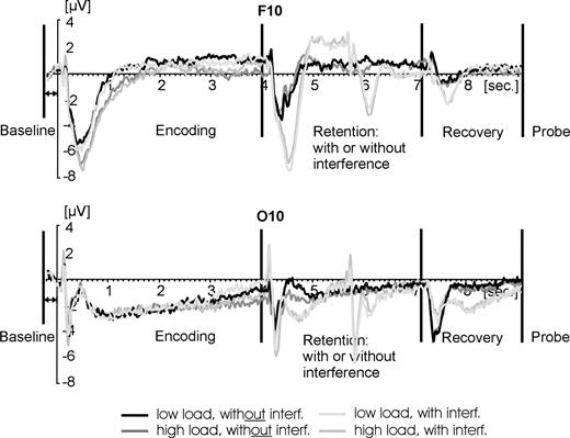 Time course of activation across the entire trial (9.3 s). A frontal electrode is shown at the top while an occipital electrode is depicted at the bottom. Baseline was calculated for the 200 ms prior to the onset of the encoding displays. The interval of most relevance for the present report were the 2 s of recovery after interference and prior to probe administration.