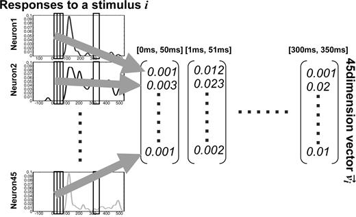The procedure used to calculate the population activity vectors. The population activity vector vi for the visual stimulus i consists of the mean firing rates of 45 neurons within a 50 ms time window. The start time of the window is incremented by 1 ms from 0 ms (at the beginning of the presentation of the stimuli) to 300 ms.