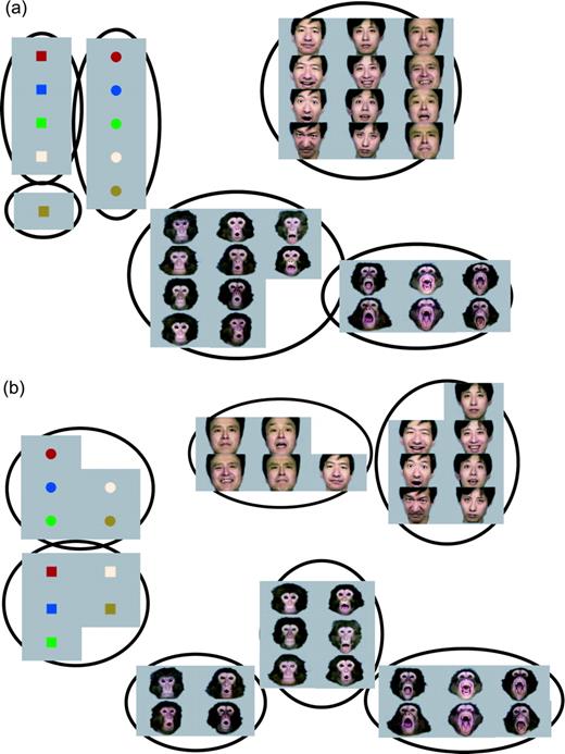 Members of individual clusters obtained through the mixture of Gaussians analysis. The results in the (a) [90 ms, 140 ms] and (b) [140 ms, 190 ms] windows. The ellipses indicate the clusters corresponding to the circles in Figure 5b. Each image shows a test stimulus of each population activity vector. For monkey faces, the [90 ms, 140 ms] window (a) contains two clusters: one (on the right) contains all four full open-mouthed and two mid-open-mouthed faces. In the full open-mouthed faces, the monkeys have their mouths wide open, showing their teeth. The other cluster (on the left) contains the remaining faces, i.e. all four neutral, four pout-lipped and two mid-open-mouthed faces. In the [140 ms, 190 ms] window (b), the right monkey cluster in (a) is maintained and the left monkey cluster is further separated into two sub-clusters: one (on the left) containing three pout-lipped and one neutral face, and the other (in the middle) containing three neutral faces, two mid-open-mouthed faces and one pout-lipped face.