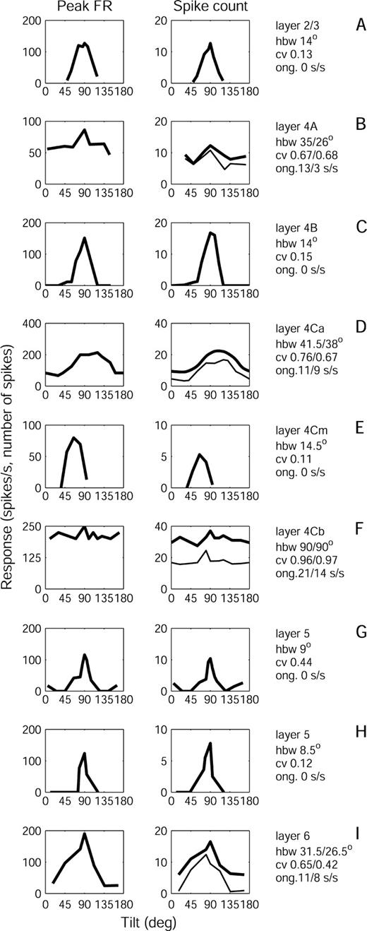 Orientation tuning curves for representative neurons in V1 layers. All curves have been shifted on the horizontal axis so that the tuning curve is visualized as an uninterrupted peak. Left column: Tuning curves based on peak firing rate (FR). Right column: Tuning curves for the same cells based on mean spike count. Several responses to stimulus sweeps in the preferred direction were averaged. The text next to the tuning curves indicates the layer of origin, the half band width (hbw), the circular variance (cv) and the ongoing activity (ong) in spikes/sec (s/s) for each cell. For the four spontaneously active cells, in rows B, D, F and I, tuning curves derived from spike counts (right column) are shown before (thick line) and after (thin line) subtraction of ongoing activity measured during the stimulation trials. For these cells, text values before the slash (‘/’) show ongoing activity during viewing of a blank field, and hbw and cv derived without subtraction of ongoing activity, while values after the slash show ongoing activity during stimulation for orientation tuning, and hbw and cv derived after subtraction of ongoing activity.