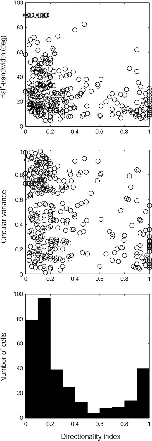 Distribution of direction selectivity and its relationship to orientation selectivity. Directionality index (DI) values (n = 323) are averages of DI measured with increment and decrement bars. Top: Scatterplot of HBW versus directionality index (cells with DI ≥ 0.5 are considered direction-selective). Middle: CV versus directionality index. Bottom: Distribution of DI values in our total sample.