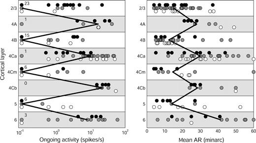 Laminar distribution of ongoing activity and AR width in V1 of alert monkeys. Left panel: Ongoing activity during presentation of a blank field (n = 160). Note logarithmic scale. Cells with zero ongoing activity are plotted as 0.1 spikes/s, and the number of cells with zero ongoing activity is indicated to the right of the vertical axis because many data points are overlapping. Right panel: Mean AR width of cells assigned to cortical layers (n = 175). Three cells in layer 6 with mean AR > 60′ are plotted as 60′ to avoid compressing the x-axis. Other conventions as in Figure 10.