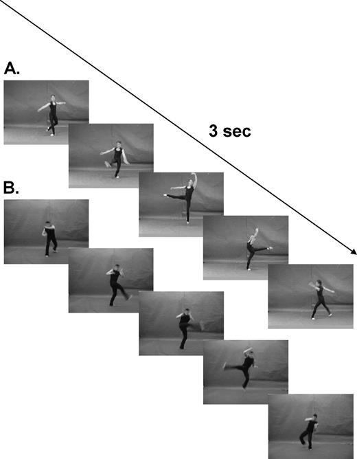 Stimuli: Colour videos of standard classical ballet and capoeira movements were performed by professional dancers. Twelve different moves of each style (a, ballet; b, capoeira) were matched by a professional choreographer for kinematic features (for examples see videos in the supplementary information online).