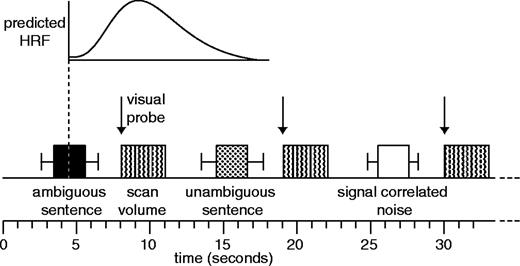 Details of the sparse imaging procedure (see Materials and Methods) in which a single stimulus item was presented in the silent periods between scans. The mid-point of the sentence was timed such that the predicted BOLD response to each sentence (based on the canonical haemodynamic response function in the SPM software) would be maximal at the time of the scan. Error bars show the range of sentence durations used. Visual probes (in experiment 1) occurred at the onset of the scan, minimizing sensitivity to the BOLD effect of these events.