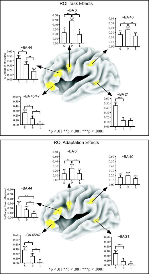 Task and adaptation effects in ROIs. Representations of a priori defined ROIs (in yellow) are overlaid on an averaged anatomic surface image of the lateral left hemisphere. Panels show task and adaptation effects as differences in MR signal amplitude (in percent) compared with fixation (+) baseline for semantic (S), phonological (P) and letter (L) tasks. Error bars show standard error of the mean. Asterisks denote significance levels for within-task effects relative to fixation baseline (above error bars) and between tasks (above horizontal bars). The top panel (ROI Task Effects) shows activations associated with each task, under novel processing conditions. The bottom panel (ROI Adaptation Effects) shows degrees of change in activation associated with each task resulting from comparison of novel item processing (− fixation) − repeated item processing (− fixation). aLIPC (∼BA 45/47; −45 35 −4) showed significant task and adaptation effects for both semantic and phonological tasks, with greatest effects for the semantic task. Dissociable effects were observed between a pLIPC region near the pars opercularis (∼BA 44; −47 17 24), which showed significant task and adaptation effects for both semantic and phonological tasks (similar to ∼BA 45/47), and a posterior left frontal region near the precentral gyrus (∼BA 6; −55 −1 28), which showed significant task and adaptation effects for the phonological task compared with the letter task. Preferential effects were also observed in a left temporal region (∼BA 21; −51 −55 2), which showed significant task and adaptation effects for the semantic task. Phonological adaptation effects in the a priori left parietal ROI (∼BA 40; −41 −43 34) were not observed but preferential phonological effects were found in a slightly more dorsal portion of ∼BA 40 in whole-brain analyses (see Fig. 2).