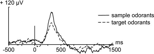 Monopolar OEPs obtained from the amygdala in response to the 16 sample odorants (solid line) and to the 16 target odorants (dotted line), averaged across the nine patients. The vertical bar shows the stimulus onset.