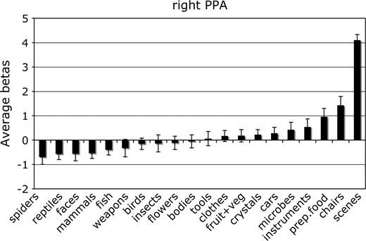 Mean parameter estimate of the response to each category in the right hemisphere PPA. Conventions as in Figure 2.