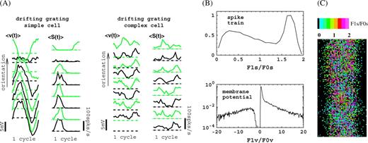 Response modulations in the model for (large) drifting grating stimuli with average optimal spatial and temporal frequency of the cortical cells. (A) Response waveforms for a simple and a complex cell, with optimal spatial and temporal frequencies close to the grating values, for a number of different grating orientations (angles) running form 0 to 7π/8. (B) Distributions (normalized to peak value 1) of F1s/F0s for spike responses and F1v/F0v for membrane potential responses. (C) Spatial distribution of F1s/F0s (spike train) for cells within the white rectangle in Figure 1. Black pixels are cells that do not show sufficient response for this monocular stimulation. For sample selection and additional details, see Supplementary Materials.