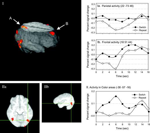 Switch versus repeat color cues. The activated regions associated with the comparison of color cues on switch trials to repeat trials is shown. In panel I, the activations are rendered onto a reconstruction of an average brain (the average of the anatomical scans for all 13 subjects). Several regions are shown, including parietal (A) and frontal (B) regions. The estimated impulse response function for each of the switch and repeat cues are plotted to the right for both the parietal (Ia) and the frontal (Ib) regions. Furthermore, panel I shows a ventral activation, in the fusiform gyrus, which is detailed in panels IIa and IIb (the axial and sagittal views, respectively). This region is the same region subjects use when performing the color task. The estimated impulse response function for switch and repeat cues are plotted at the right (II).