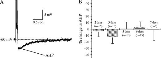 Post-burst AHP is not reduced after learning in neurons from pseudo-trained rats. (A) Post-burst AHP measurements in CA1 pyramidal neurons. Neurons were held at a membrane potential of −60 mV and an AHP was generated by a 100 ms depolarizing current step injection via the recording electrode, with intensity sufficient to generate a train of six action potentials. (B) AHP is not reduced in neurons from pseudo-trained rats. Amplitudes of AHPs recorded on different days after the beginning of training were compared with AHPs in naives. Presented are the averaged values for each day ± SE, each normalized to the averaged value of neurons from naive rats. The following number of rats was used for each of the days: three rats after 2 days of training, three rats after 3 days, five rats after 5 days, five rats after 6 days and two2 rats after 7 days. n, number of recorded cells.