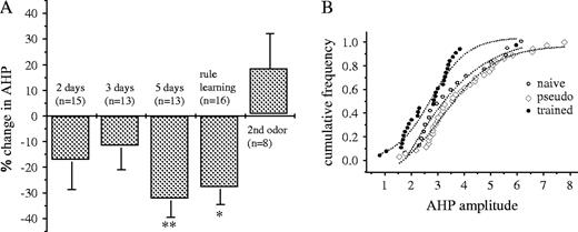 Post-burst AHP in hippocampal neurons is reduced during olfactory discrimination learning. (A) Time window of reduction of AHP in neurons from trained rats. Amplitudes of AHPs recorded in neurons from trained rats on different days after the beginning of training were compared with AHPs in neurons from pseudo-trained rats. Presented are the averaged values for each day ± SE, each normalized to the averaged value of neurons from pseudo-trained rats for the same day. The following number of trained rats was used for each of the days: three rats after 2 days of training, five rats after 3 days, five rats after 5 days, four rats after 6 and 7 days (last day of training, rule learning), and four rats for 1 day after rule learning (second odor). n, number of recorded cells. *P < 0.05; **P < 0.01. (B) Cumulative frequency distribution of the AHP amplitudes in the three experimental groups. Each point represents the AHP amplitude in one cell. AHP amplitudes in neurons from trained rats, taken after 5–7 days of training, create a curve that is smoothly shifted to the left along the x-axis. Distributions of the amplitudes of neurons from pseudo-trained and naives are similar.