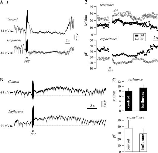 Effect of gap junction closure on glial response following PPT activation. Intracellular recording of glia before and after application of 1% isoflurane. (A) Hyperpolarizing responses was not affected by isoflurane application (panel 1), nor were the variations of membrane resistance and capacitance (panel 2). Note the overall increased membrane resistance and decreased capacitance as effects of isoflurane. (B) Case of a depolarizing activation in another intracellularly recorded glial cell that was not sensitive to isoflurane. (C) Overall effect of isoflurane on the glial membrane resistance and capacitance.