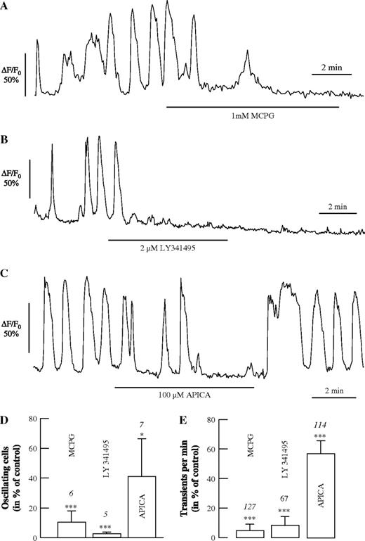 The effect of antagonists of mGluRs on spontaneous Ca2+ oscillations in astrocytes. (A–C) Effect of MCPG, an antagonist of mGluR group I and II (1 mM; A), LY341495, an antagonist of mGluR group II (2 μM; B), and APICA, an antagonist of mGluR group II (100 μM; C), on spontaneous Ca2+ oscillations. Summary of the effects of the glutamate receptor antagonists on the number of oscillating astrocytes (D) and on the frequency of Ca2+ transients (E).