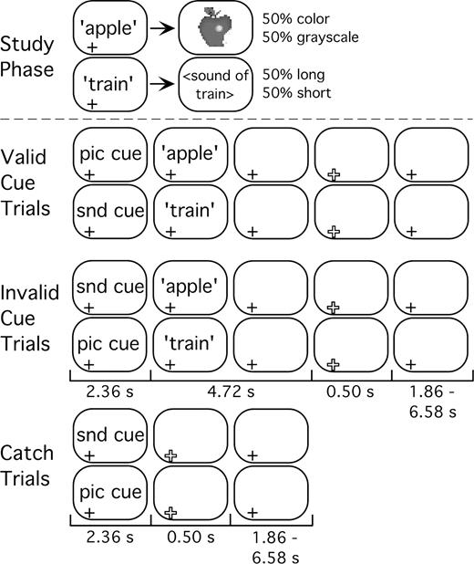 Schematic of trial types during study phase, and of valid cue, invalid cue and catch trials during the later memory test. The duration (seconds) of each test phase, end-of-trial signal and ITI are shown below each panel. Picture (pic) and sound (snd) cues were 100 ms tones. A plus-sign (+) at the bottom left of a frame indicates the presence of a centrally presented fixation point. End of trial indicated by a larger, open, plus sign.