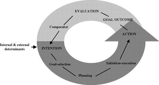 Model of organization of goal-directed behaviors. Adapted from Brown and Pluck (2000).